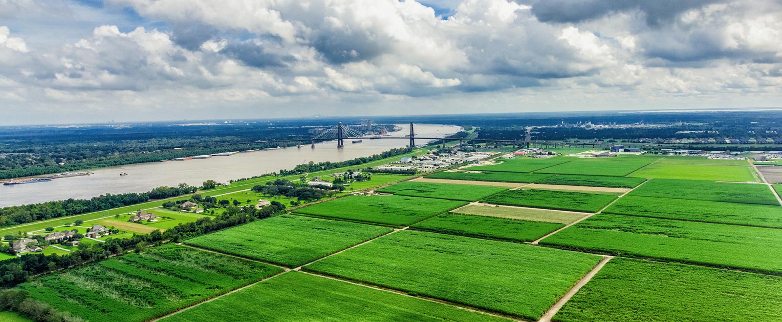 Louisiana farmland.