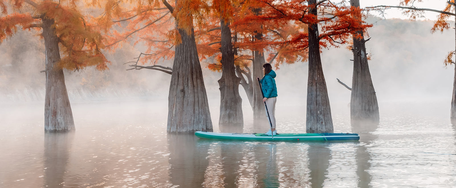 Person paddle boarding in a swamp.
