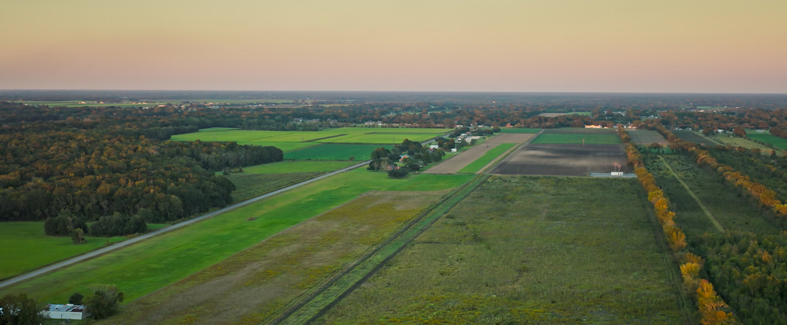 Louisiana farmland.