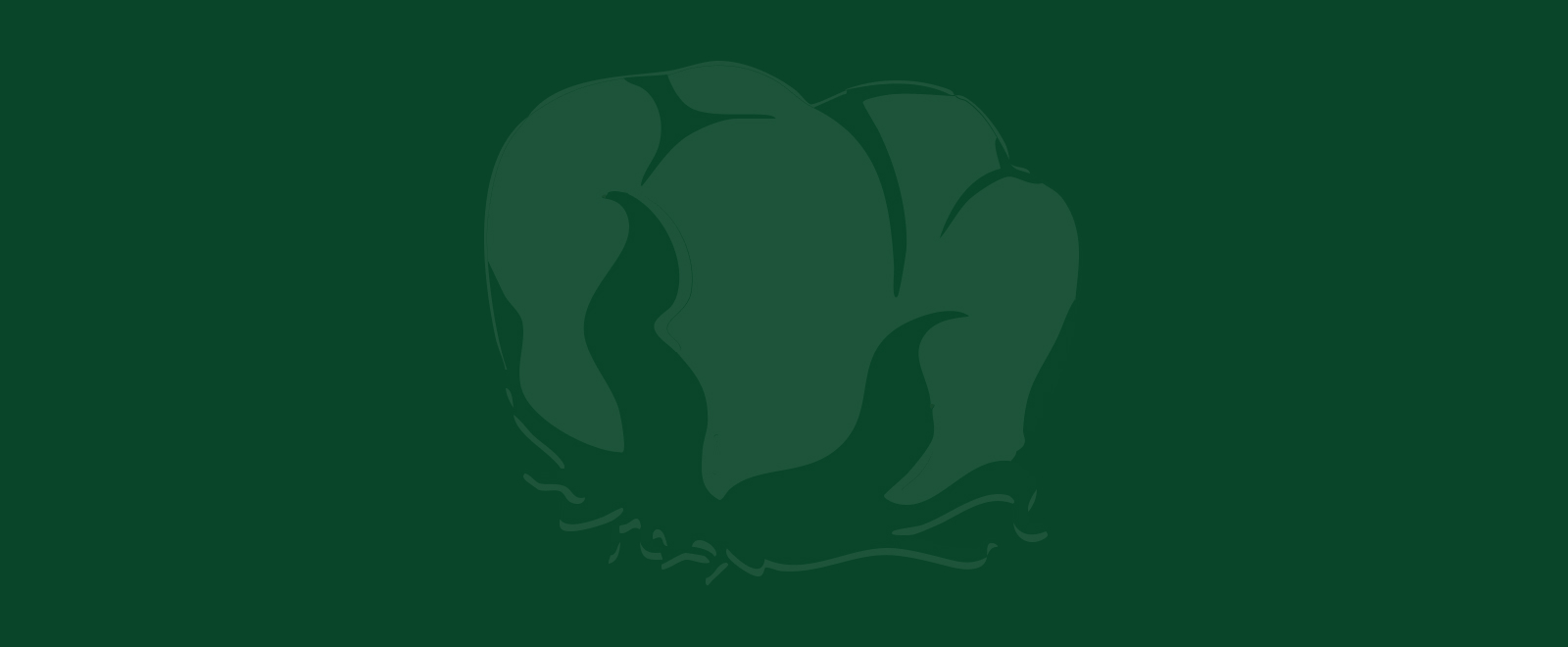 Logo background.